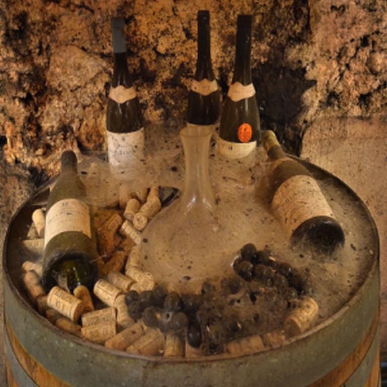 Chateau Rieutort Saint-Pargoire Luaran gambar